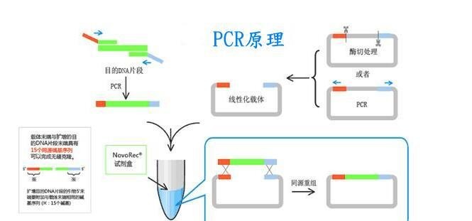 真菌通用PCR试剂盒