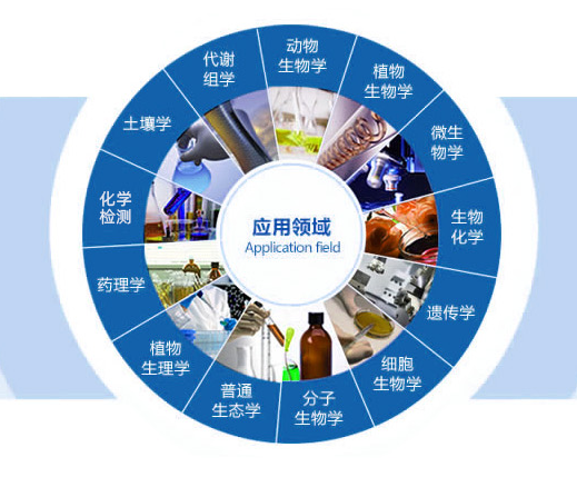 肠炎沙门氏菌（SE）荧光PCR试剂盒